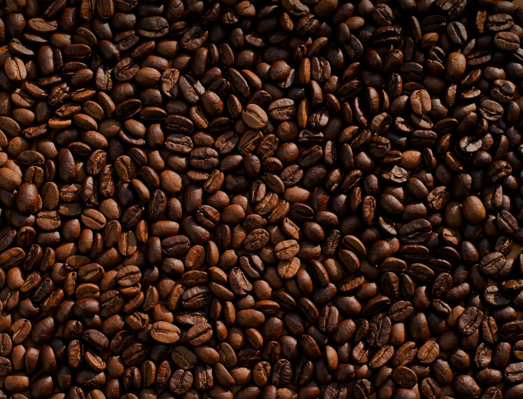 Grãos de café em close-up